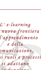 E-Lite E-Learning Interactive Training Experience - F.A.D. (Formazione A Distanza)